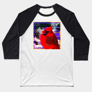 Americana Bird Baseball T-Shirt